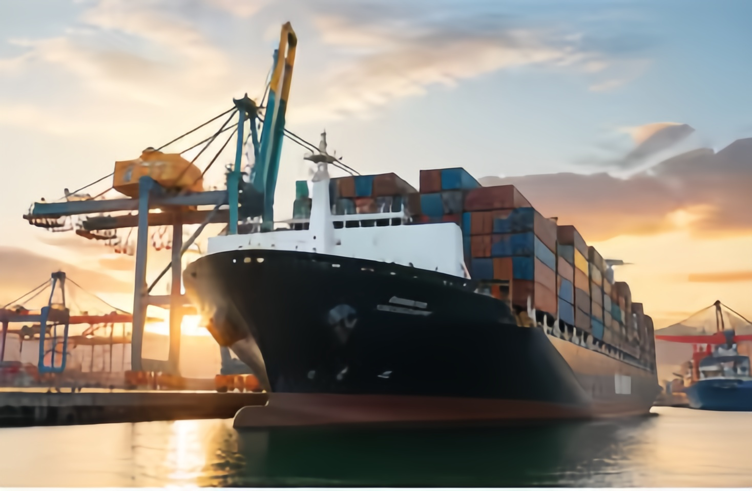 Global Export Experience