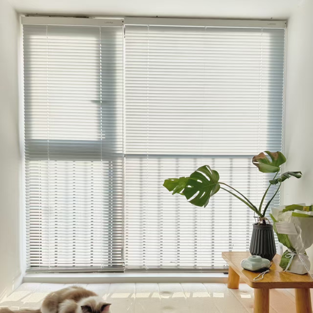 Louver Windows